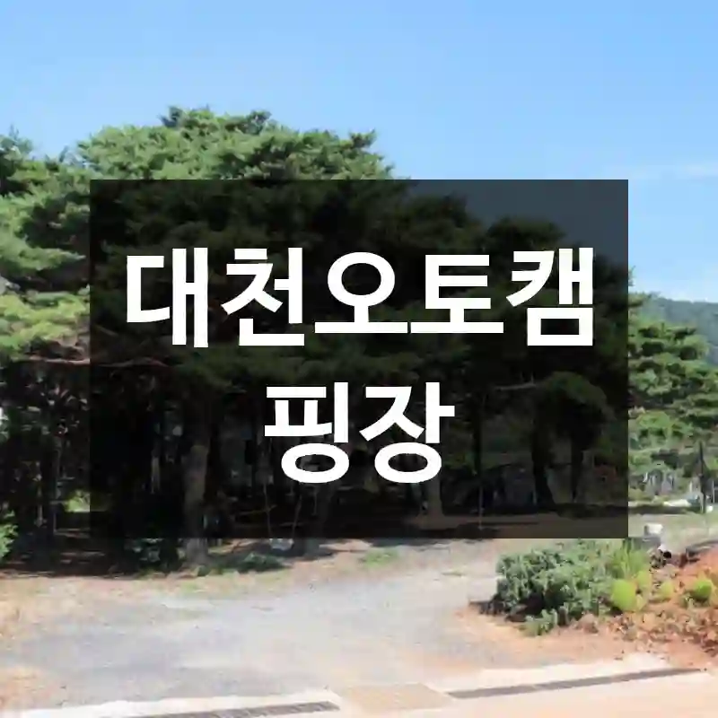 대천오토캠핑장
