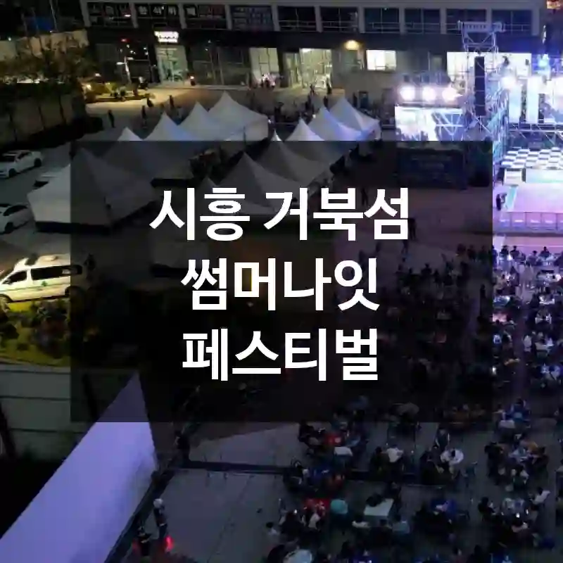 시흥 거북섬 썸머나잇 페스티벌
