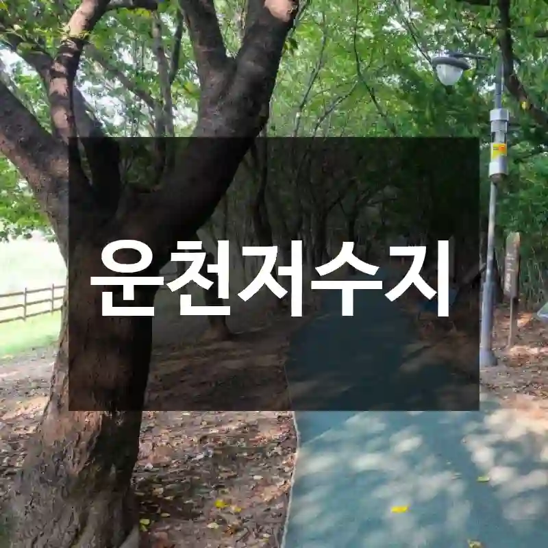 운천저수지