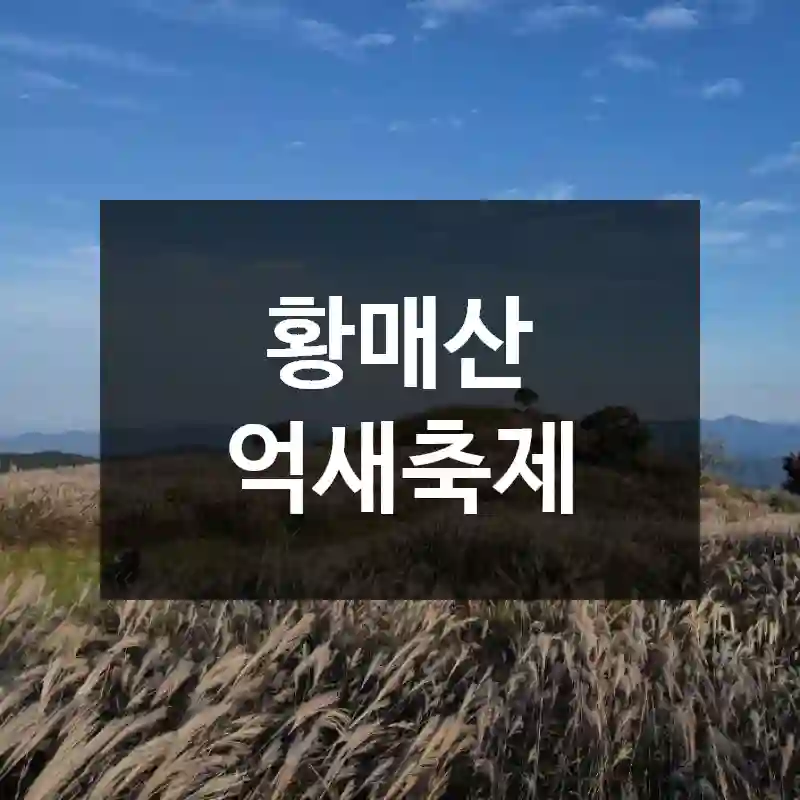황매산 억새축제