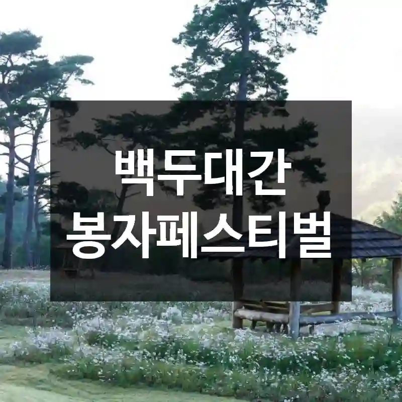 백두대간 봉자페스티벌
