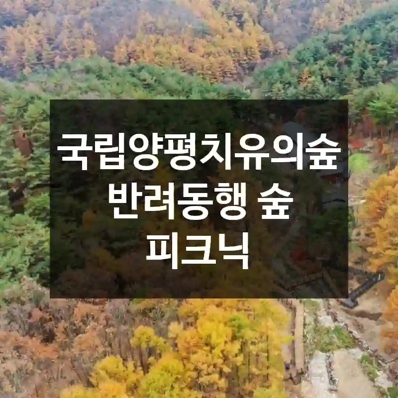 국립양평치유의숲 반려동행 숲 피크닉