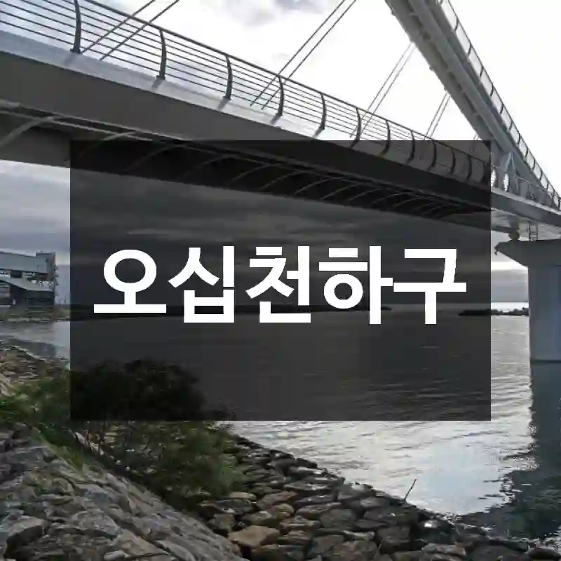 오십천하구