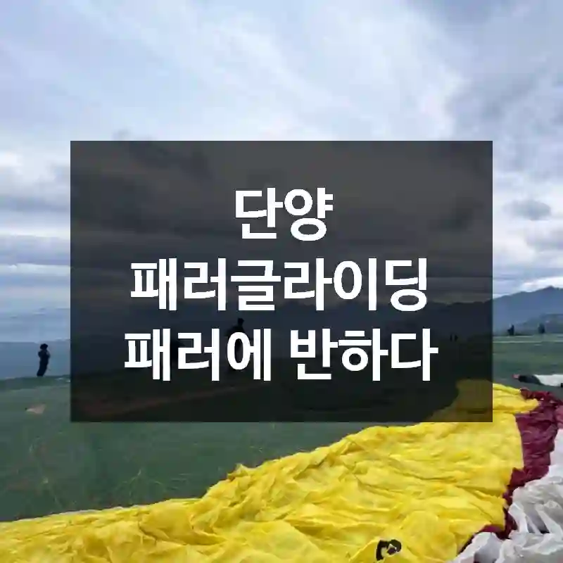 단양 패러글라이딩 패러에 반하다