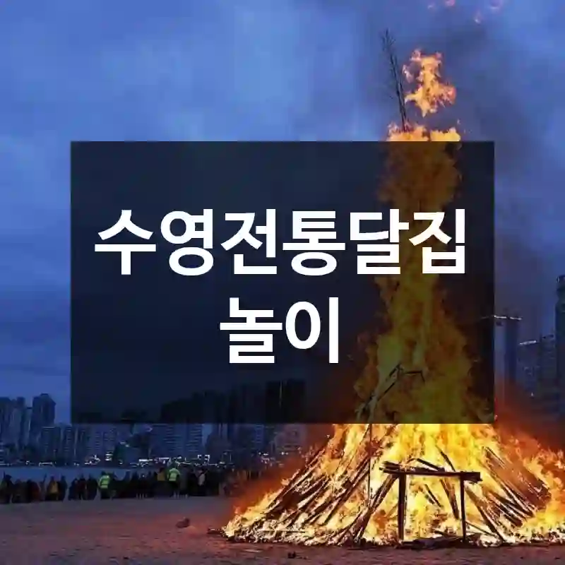 수영전통달집놀이