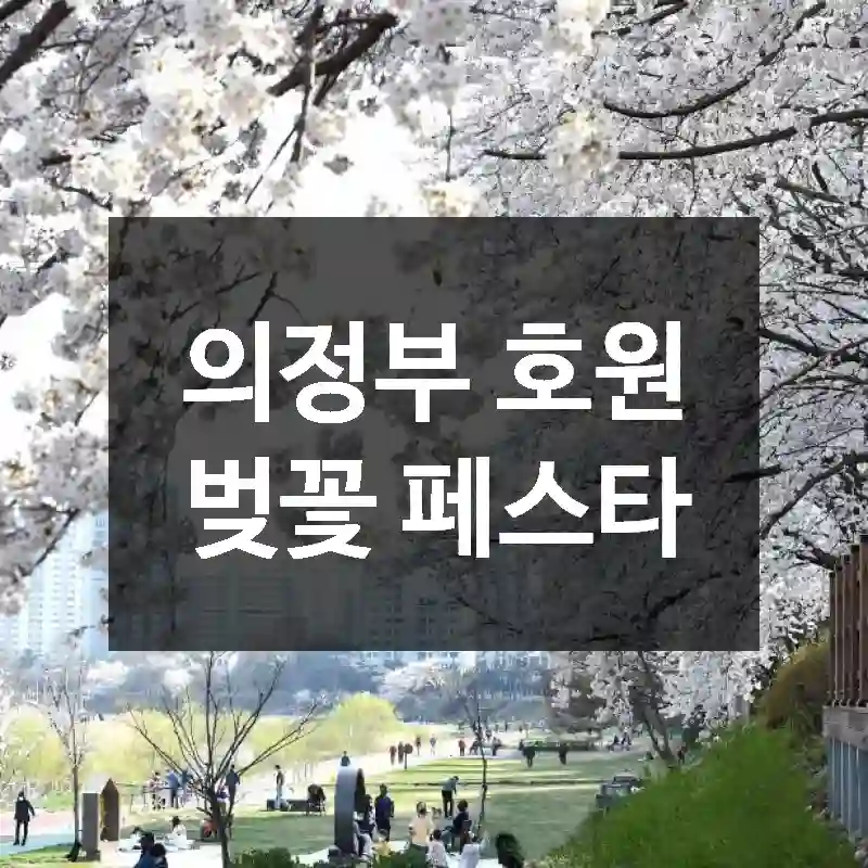 의정부 호원 벚꽃 페스타