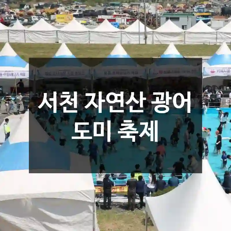서천 자연산 광어 도미 축제