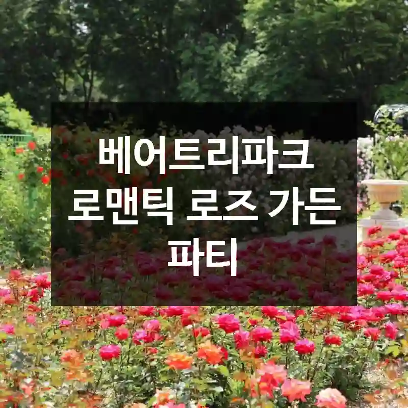 베어트리파크 로맨틱 로즈 가든 파티