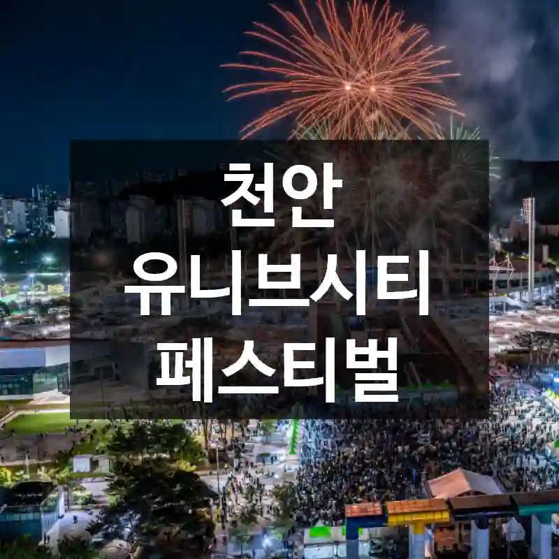 천안 유니브시티 페스티벌