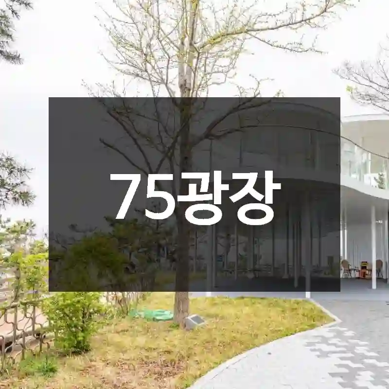 75광장
