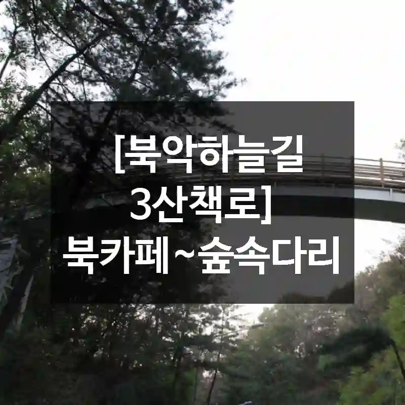 [북악하늘길 3산책로] 북카페~숲속다리