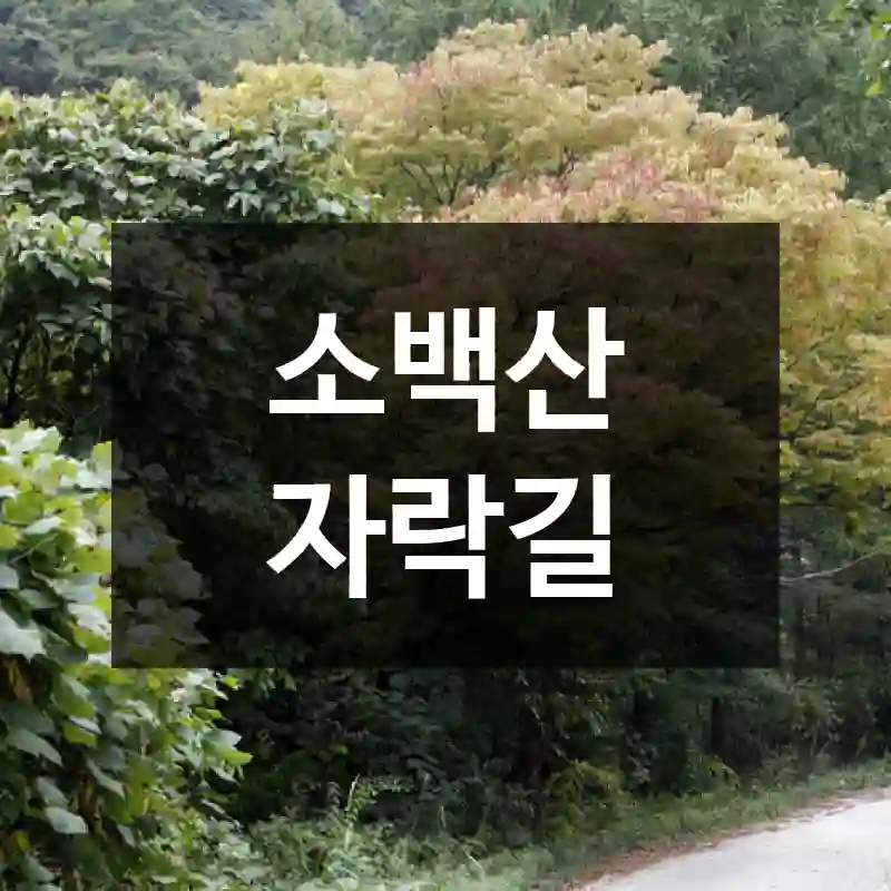 소백산 자락길