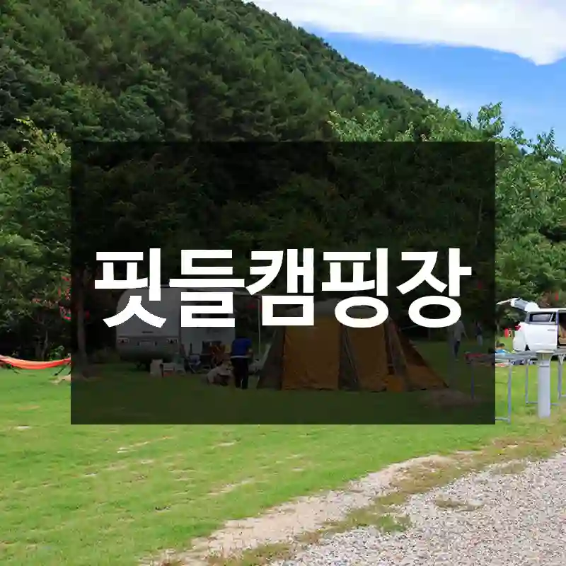 핏들캠핑장
