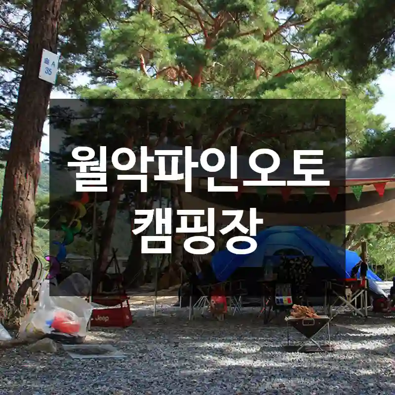 월악파인오토캠핑장
