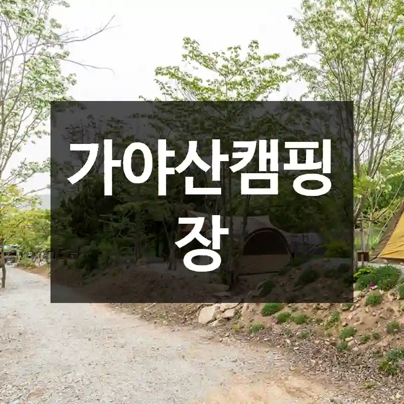 가야산캠핑장