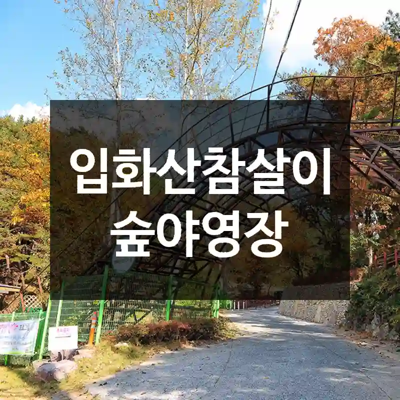 입화산참살이숲야영장