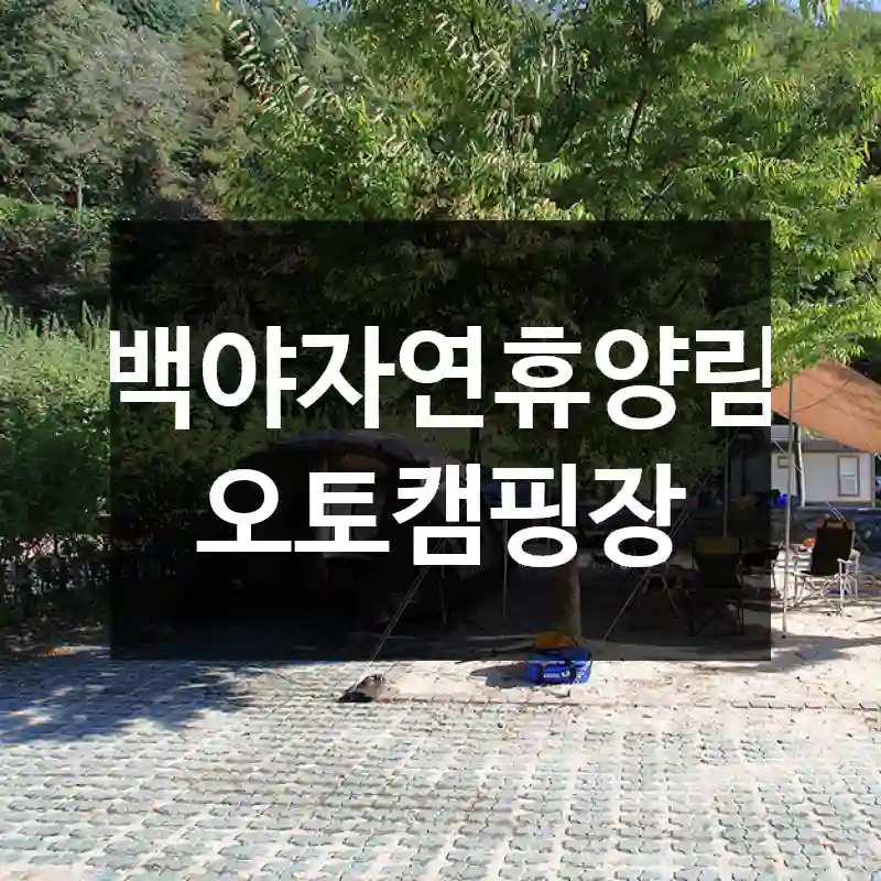 백야자연휴양림 오토캠핑장