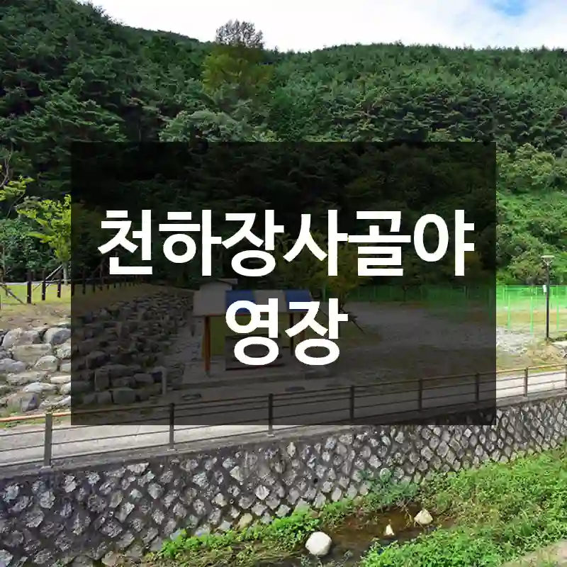 천하장사골야영장