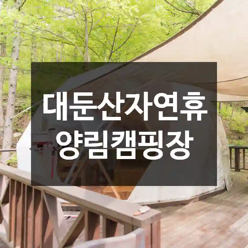 대둔산자연휴양림캠핑장