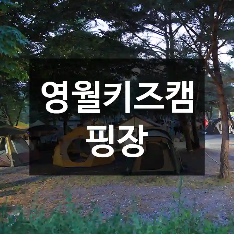 영월키즈캠핑장