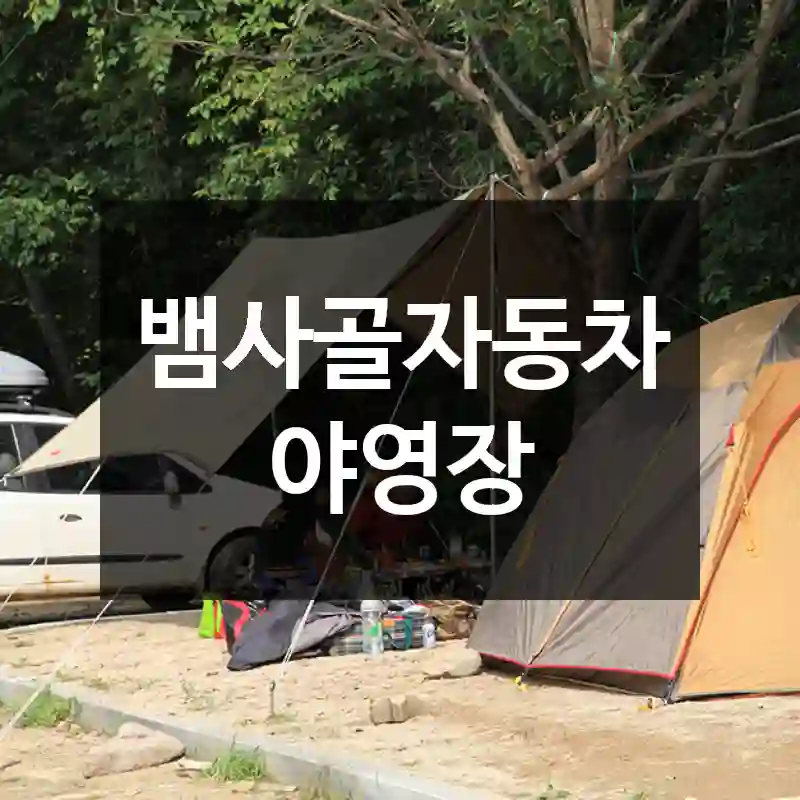 뱀사골자동차야영장