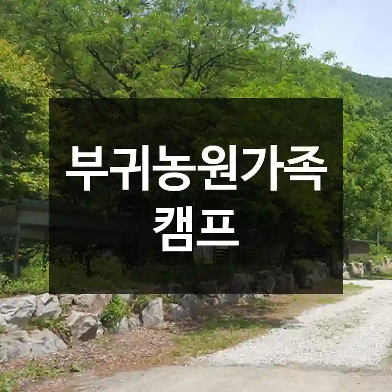 부귀농원가족캠프