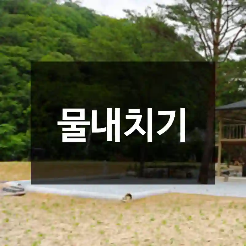 물내치기
