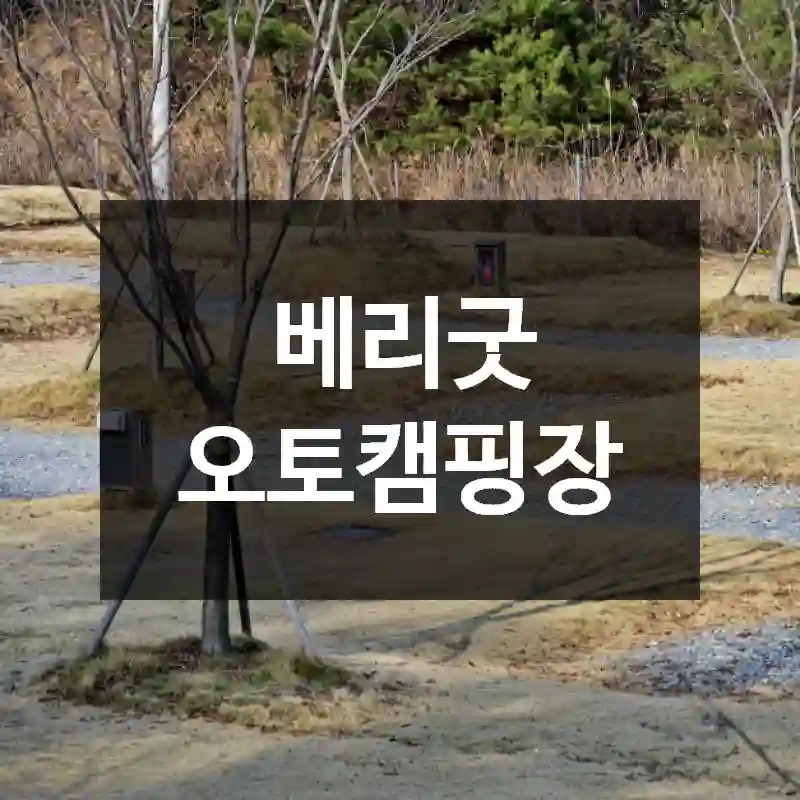 베리굿 오토캠핑장