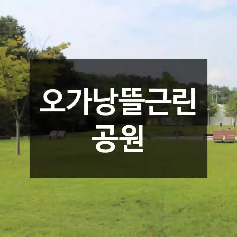 오가낭뜰근린공원