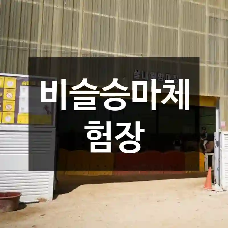 비슬승마체험장