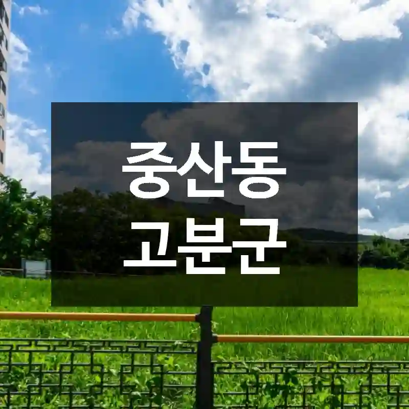 중산동 고분군