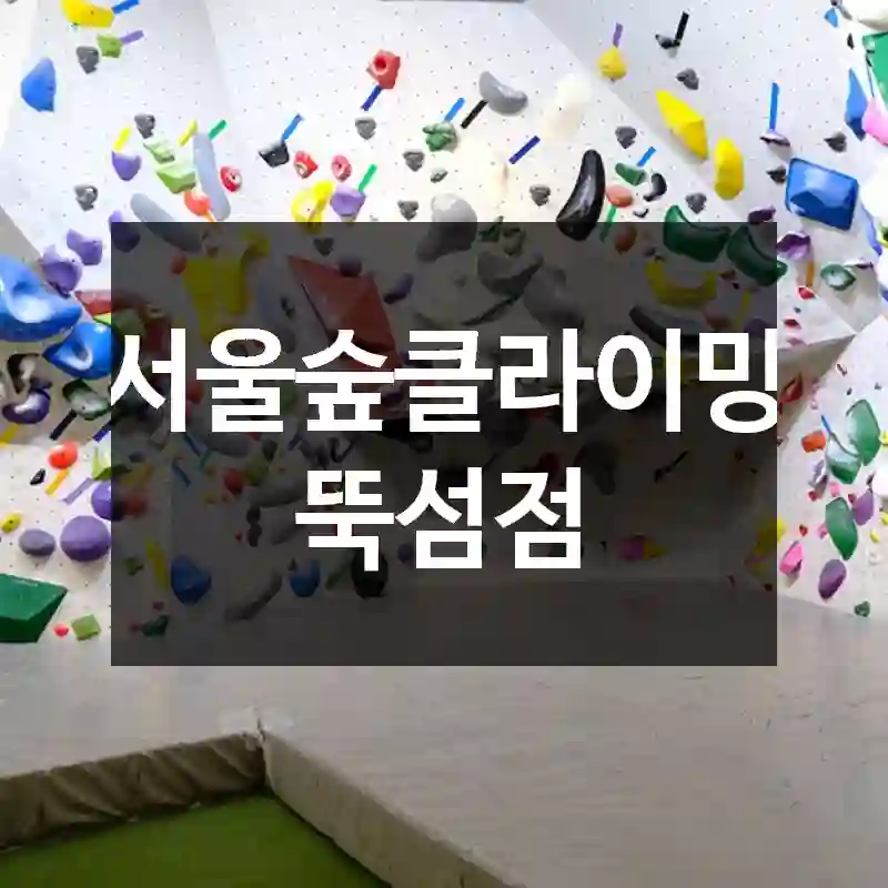 서울숲클라이밍 뚝섬점