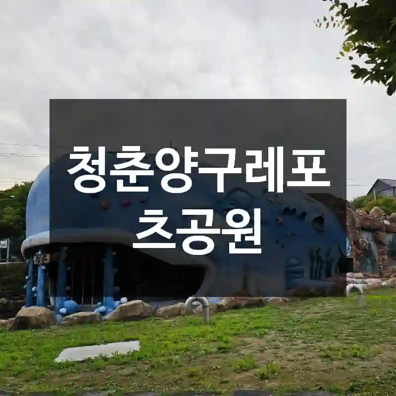 청춘양구레포츠공원