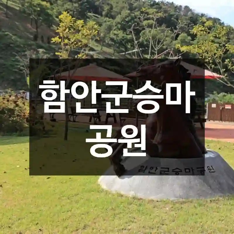 함안군승마공원