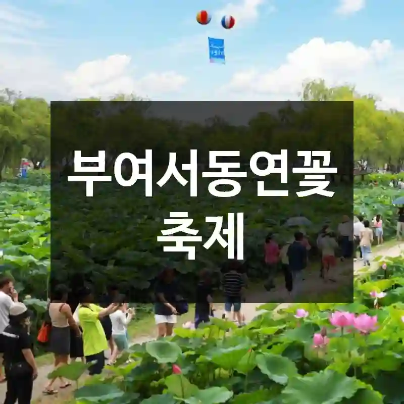 부여서동연꽃축제