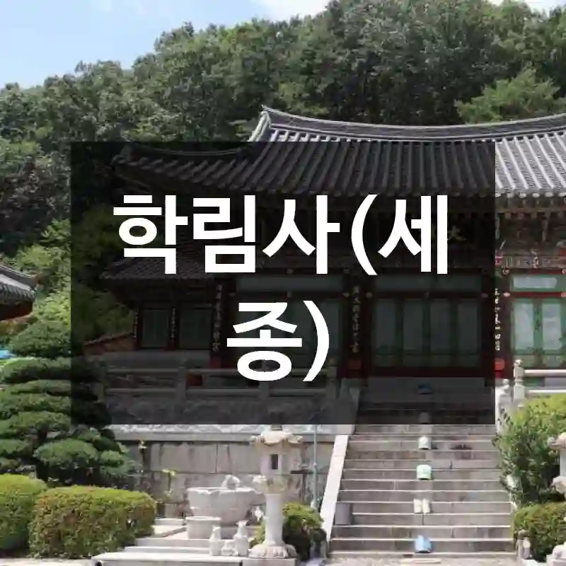 학림사(세종)