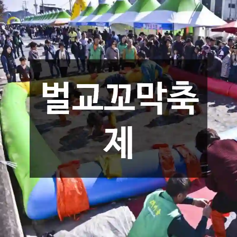벌교꼬막축제