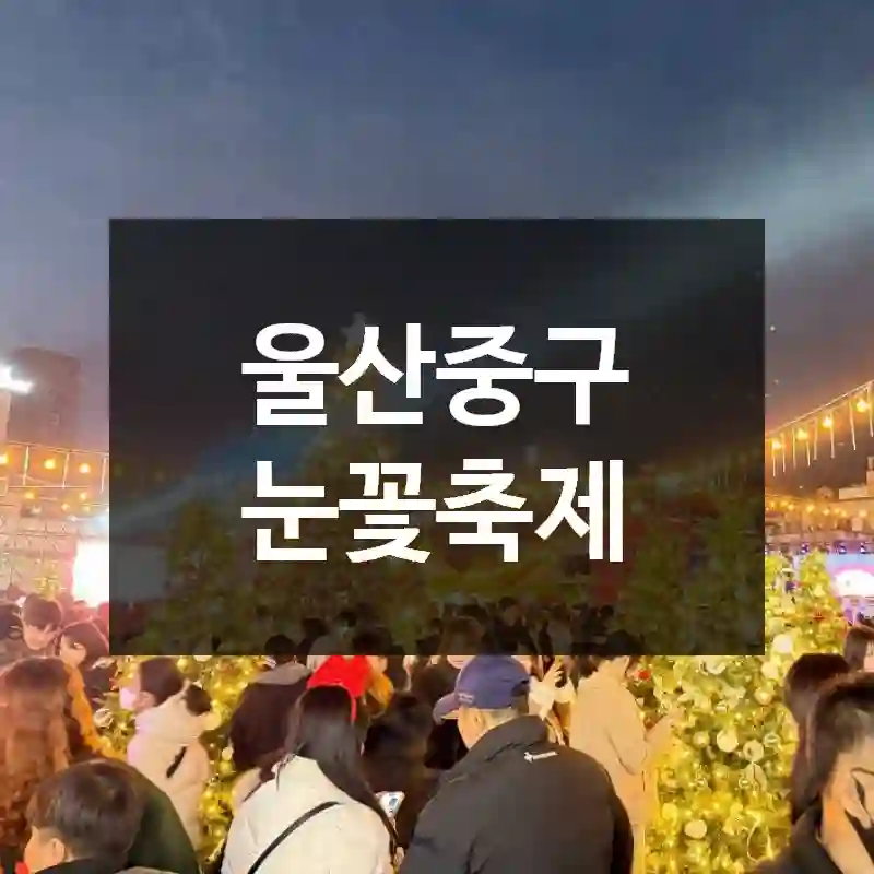울산중구 눈꽃축제