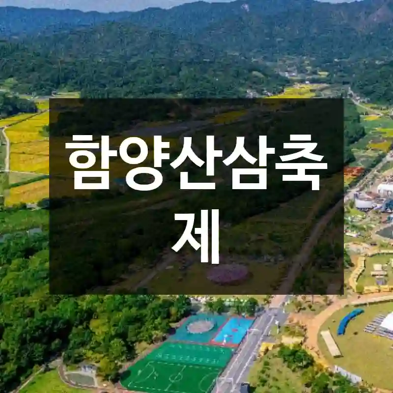 함양산삼축제