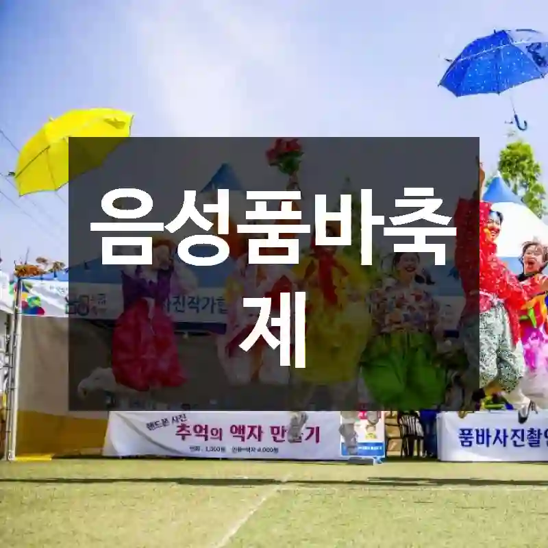 음성품바축제