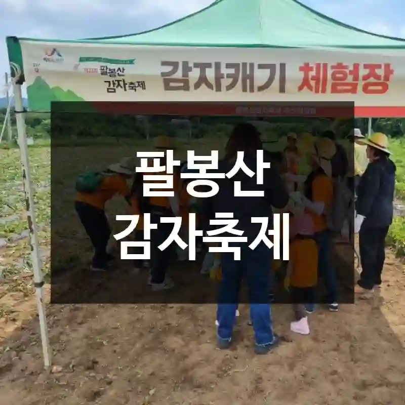 팔봉산 감자축제