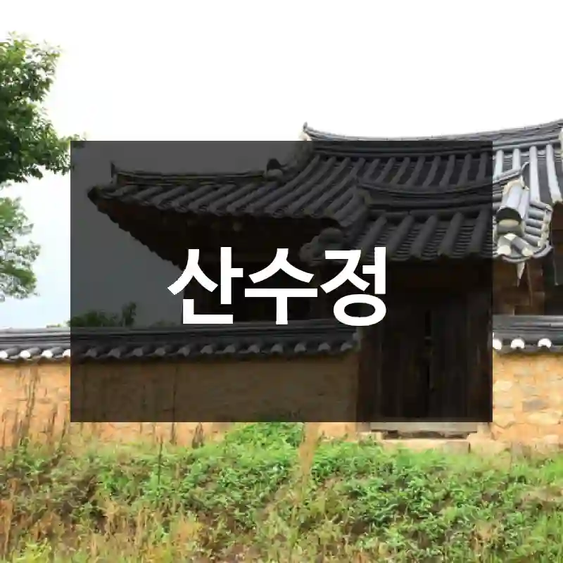산수정