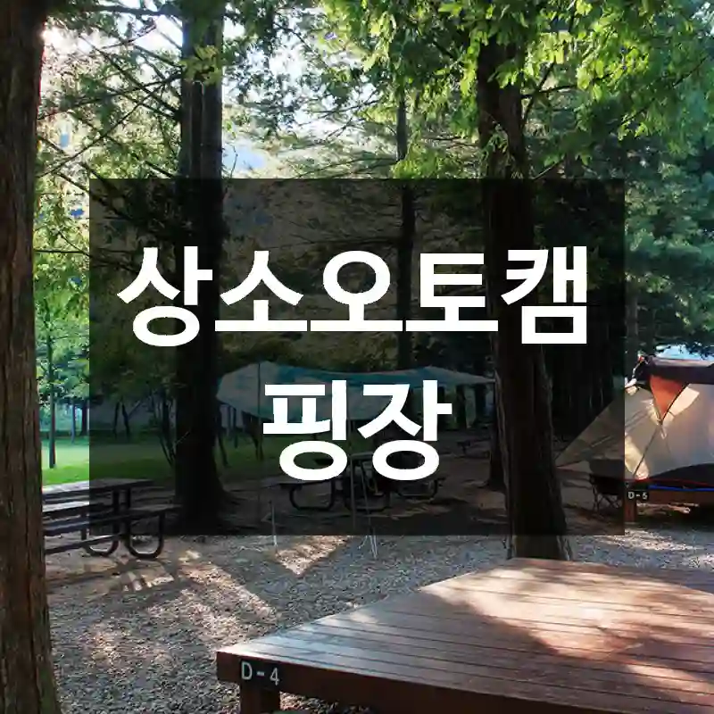 상소오토캠핑장