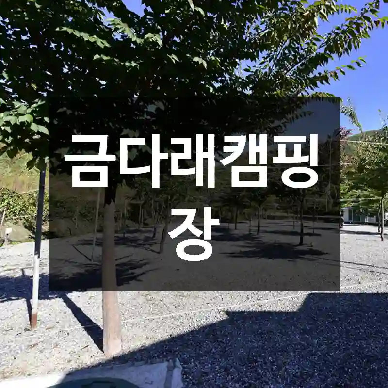 금다래캠핑장