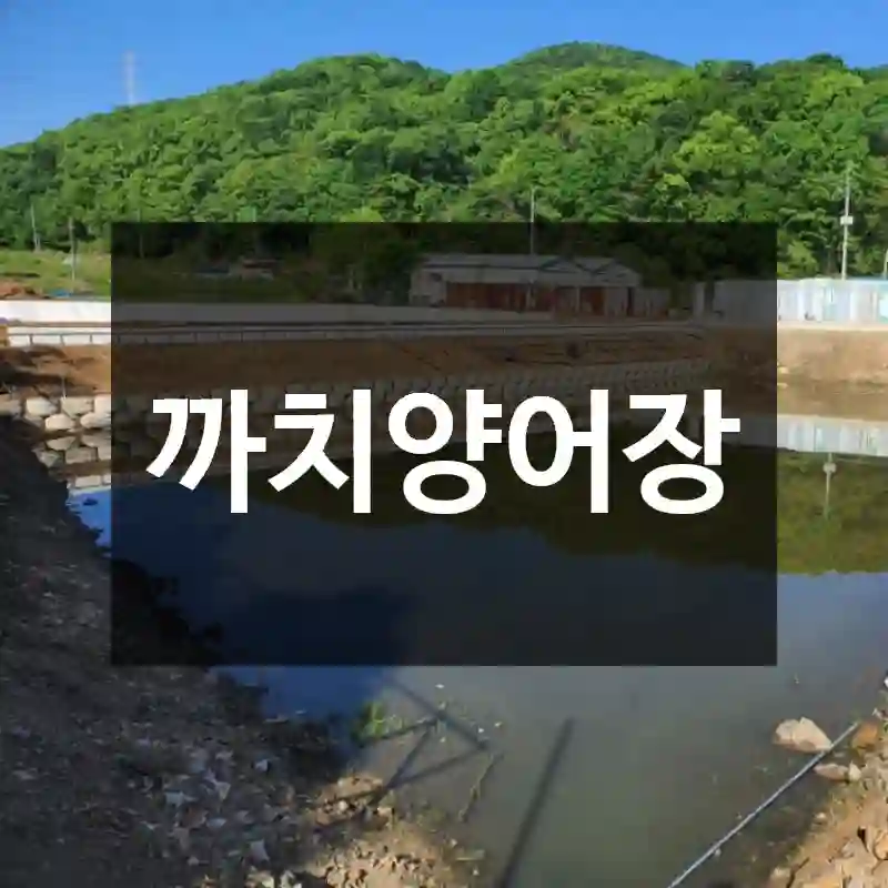 까치양어장