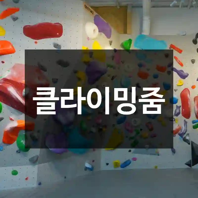 클라이밍줌