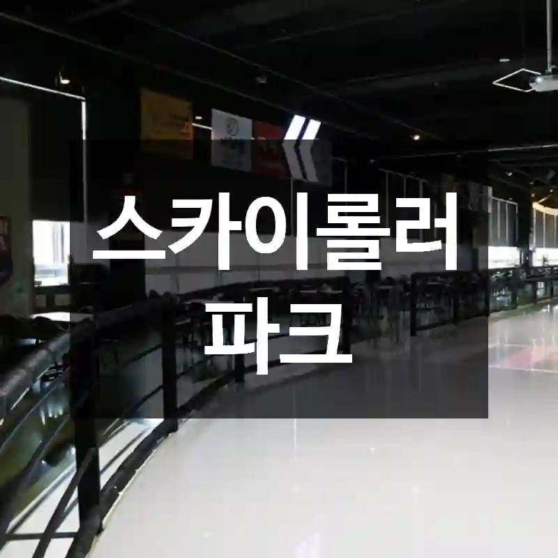 스카이롤러파크