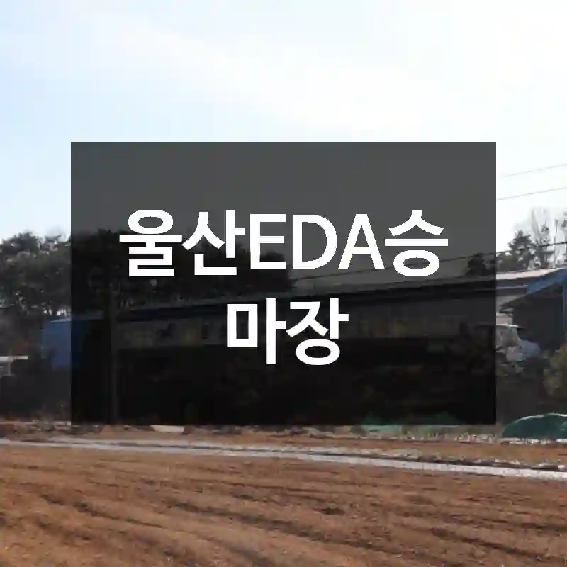 울산EDA승마장