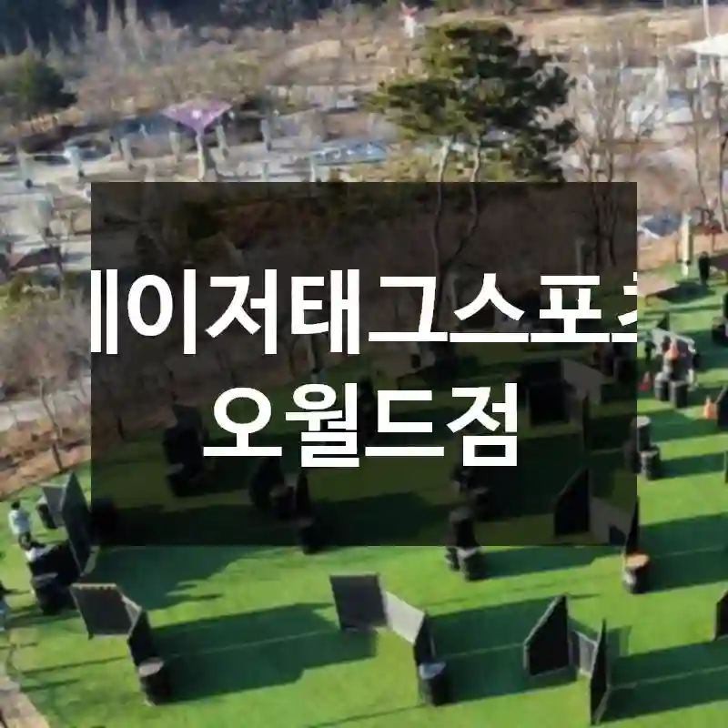 레이저태그스포츠 오월드점