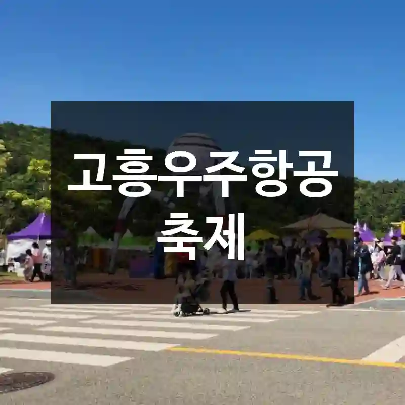 고흥우주항공축제